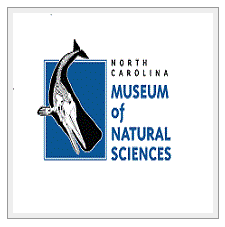 Museum of Natural Sciences